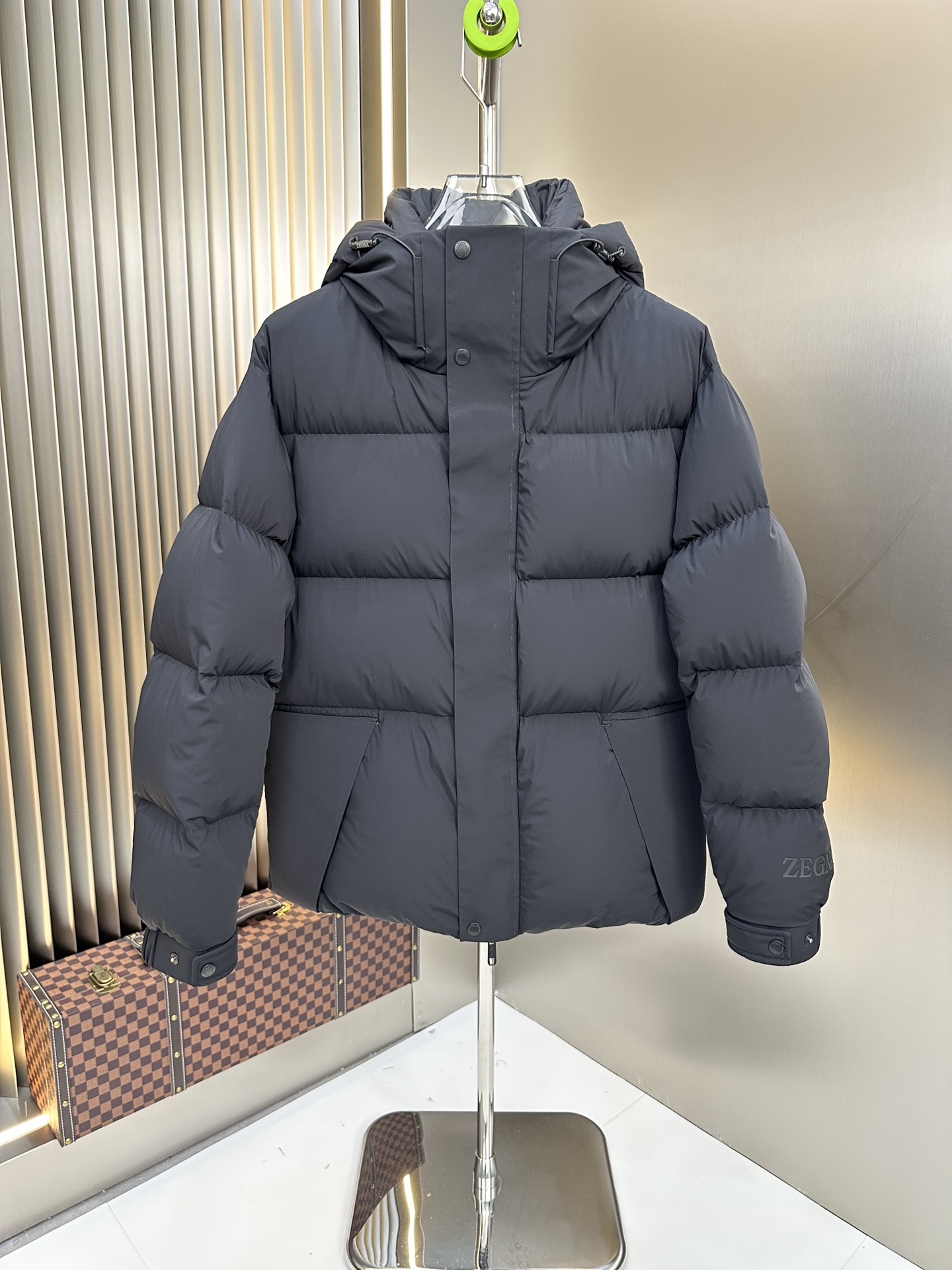 Zegna Down Jackets